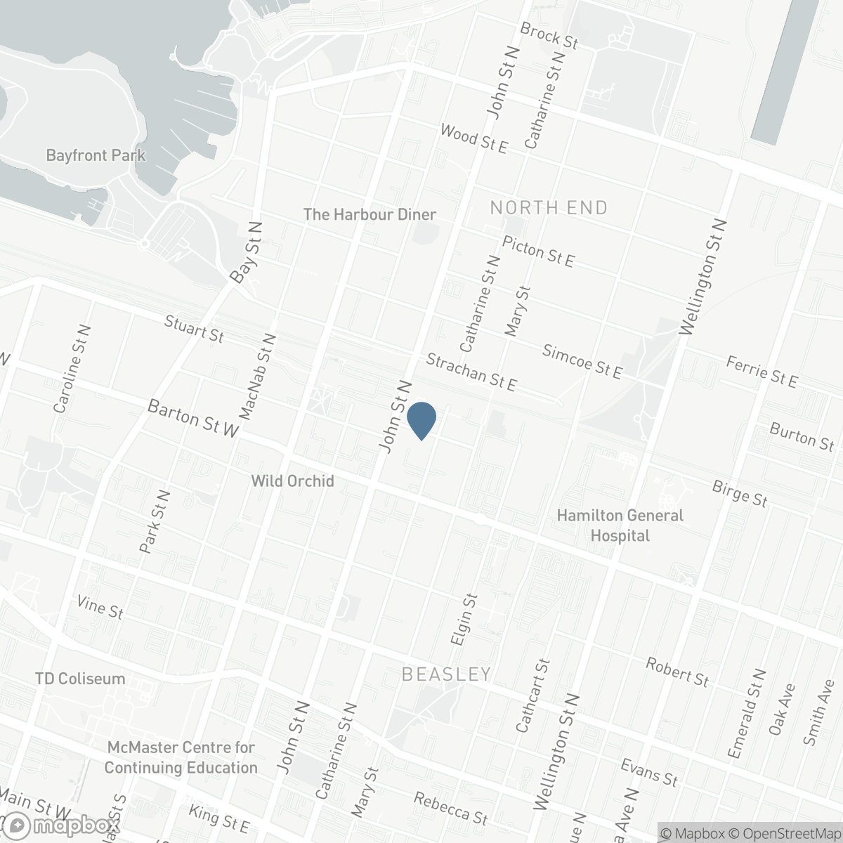 79 MURRAY STREET E, Hamilton, Ontario L8L 3G1